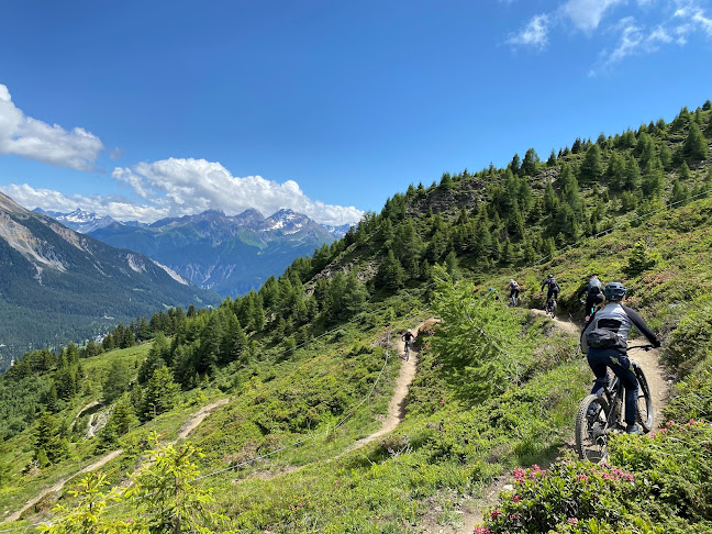 Trail Affair - Zug