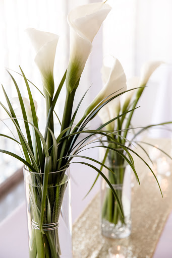 Florist «Westgate Flower & Plant Shop», reviews and photos, 841 S Oak Park Ave, Oak Park, IL 60304, USA