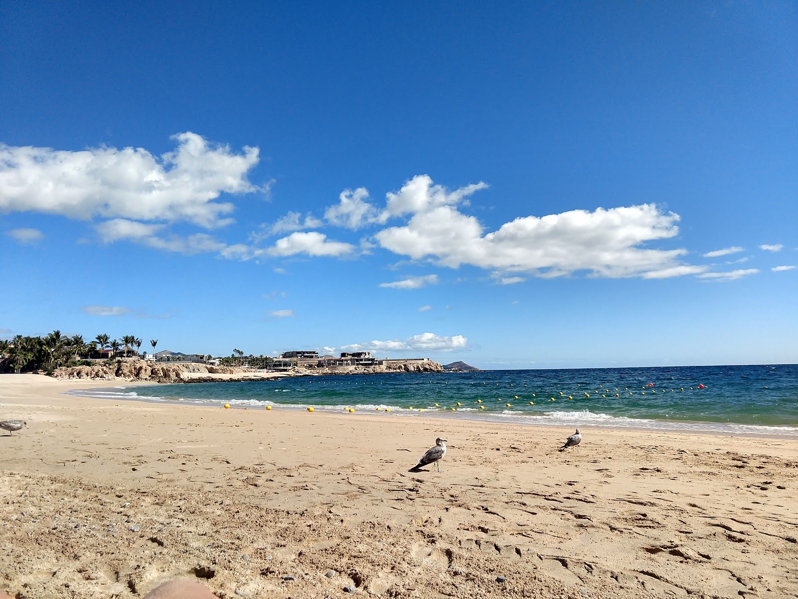 Photo de Playa el Chileno avec l'eau cristalline de surface