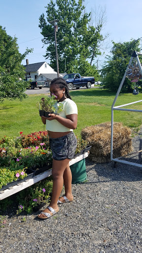 Grocery Store «Grasso Girls Farm Market», reviews and photos, 353 Wolfert Station Rd, Mullica Hill, NJ 08062, USA