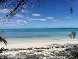 Foto von Ouvea Island Beach - beliebter Ort unter Entspannungskennern