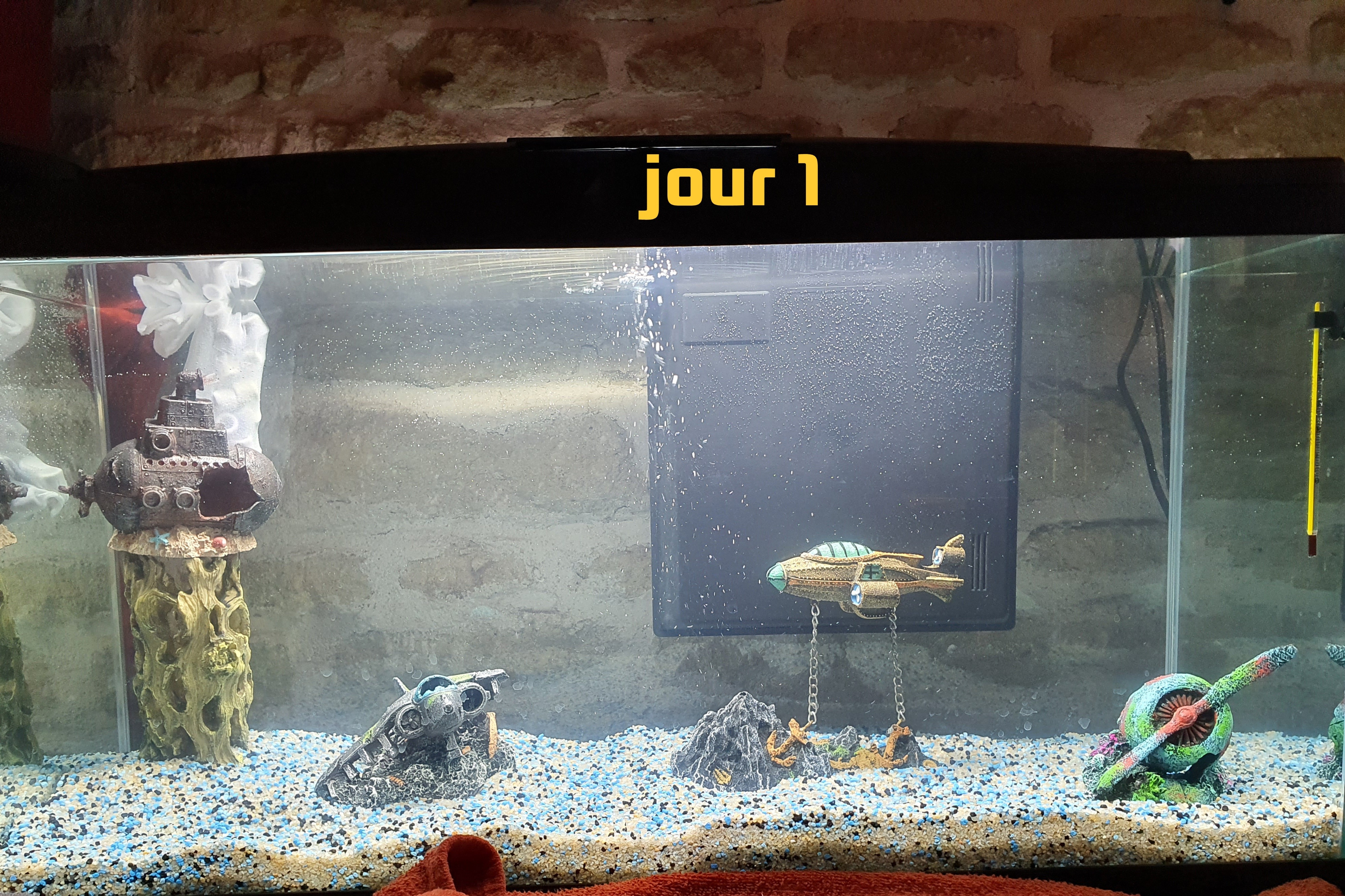 Photo n° 2 de l'avis de Magali.u fait le 01/12/2023 à 19:31