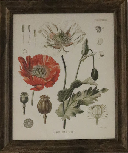 Grocery Store «Fort Valley Country Store», reviews and photos, 7091 Fort Valley Rd, Fort Valley, VA 22652, USA