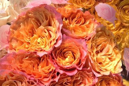 bakersfield flower market bakersfield ca 93301