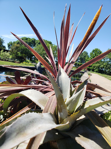 Botanical Garden «Olbrich Botanical Gardens», reviews and photos, 3330 Atwood Ave, Madison, WI 53704, USA