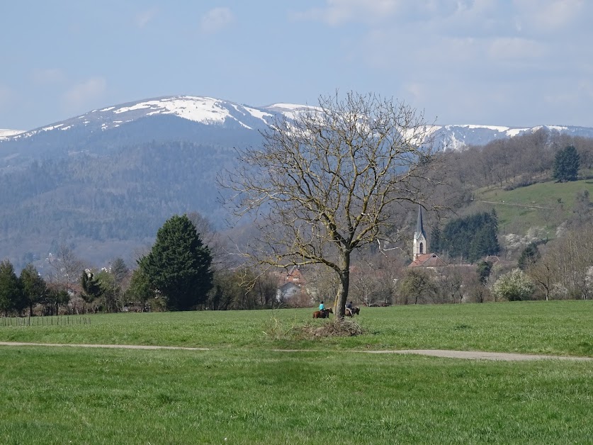Le gîte du Leymel à Luttenbach-prés-Munster (Haut-Rhin 68)