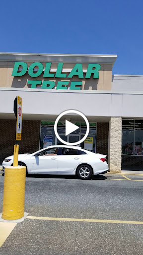 Dollar Store «Dollar Tree», reviews and photos, 100 Northeast Ave, North East, MD 21901, USA