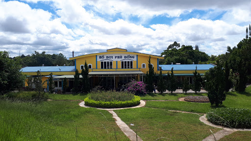 Hồ Bơi Phù Đổng