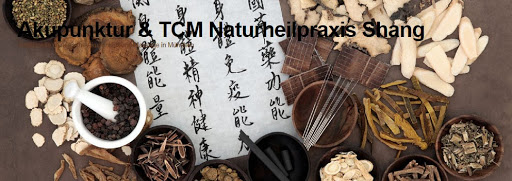 Akupunktur & TCM Naturheilpraxis Shang