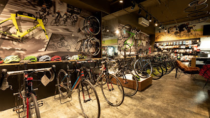 Mastermind Bicycle Studio Mumbai | Best Premium Bike Shop & Service