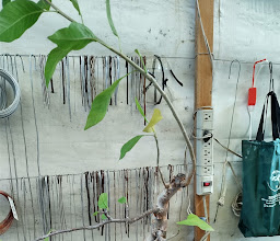 Hotel Castello photo