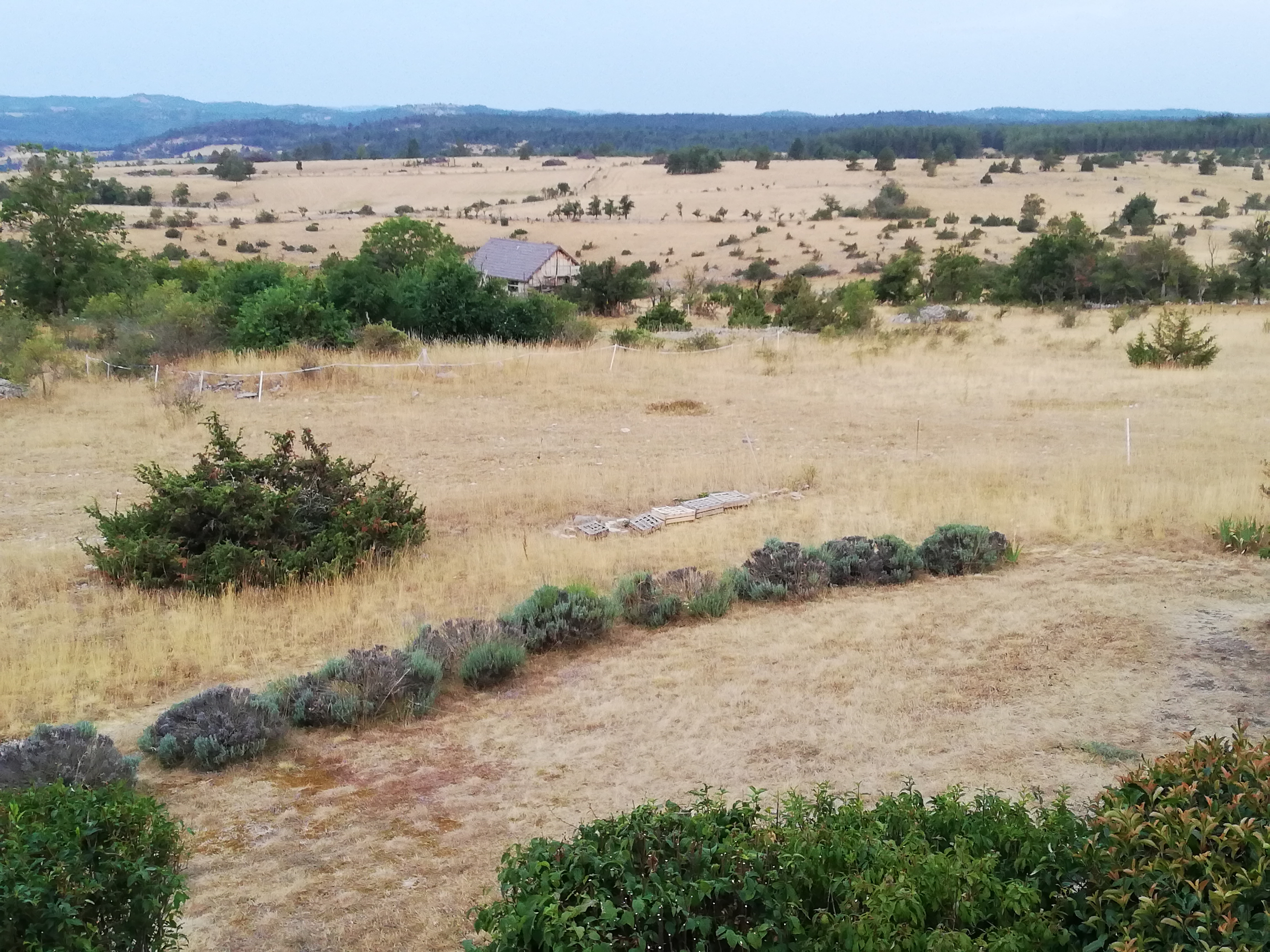 Photo n° 1 de l'avis de Edgard.e fait le 13/08/2020 à 19:36