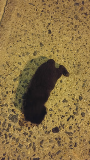 Recreation Center «Hayes Park West Recreation Center», reviews and photos, 179 Boyd St, Newark, NJ 07108, USA