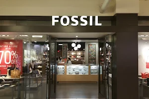 Fossil Store image