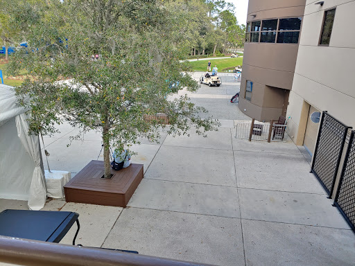 Golf Course «Tranquilo Golf Club at Four Seasons Resort Orlando», reviews and photos, 3451 Golf View Dr, Lake Buena Vista, FL 32830, USA