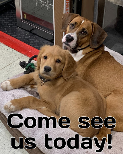 Home Improvement Store «St Peters Hardware & Rental», reviews and photos, 2502 State St, Alton, IL 62002, USA