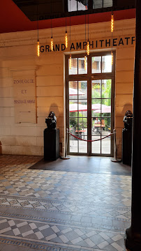 Photos des visiteurs du Restaurant Hôtel La Zoologie à Bordeaux - n°19