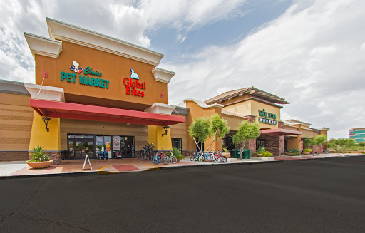 Global Bikes - Chandler North, 2915 W Ray Rd, Chandler, AZ 85224, USA, 