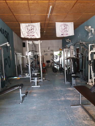 Gimnasio olimpo