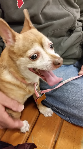 Pet Supply Store «PetSmart», reviews and photos, 2360 W Oregon Ave, Philadelphia, PA 19145, USA