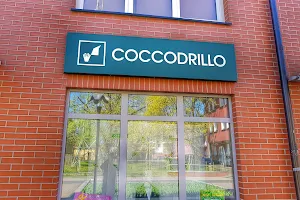 Coccodrillo image