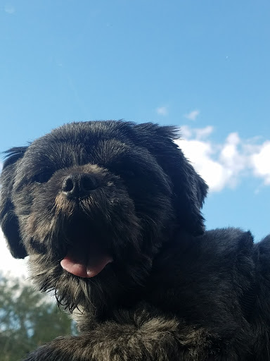 Park «Eagle Nest Park», reviews and photos, 5165 Metrowest Blvd, Orlando, FL 32811, USA