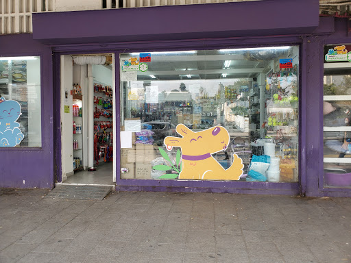 Cat stores Tel Aviv
