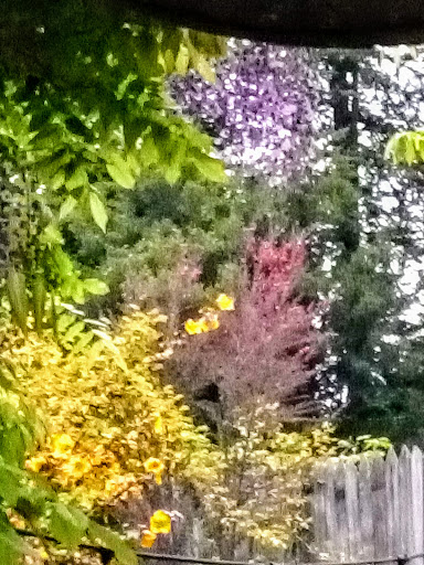 Market «La Honda Market», reviews and photos, 8865 La Honda Rd, La Honda, CA 94020, USA