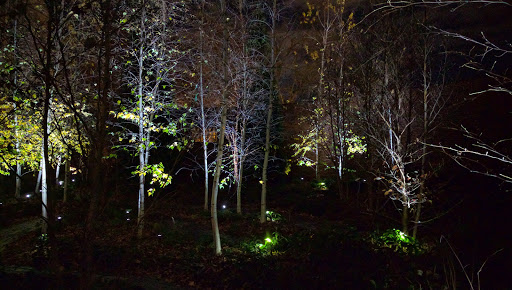 Art Museum «Isabella Stewart Gardner Museum», reviews and photos, 25 Evans Way, Boston, MA 02115, USA