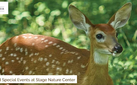 Stage Nature Center image