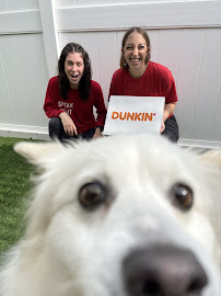 Camp Bow Wow - Photo 2 - Car repair in New Lenox, IL, Joliet