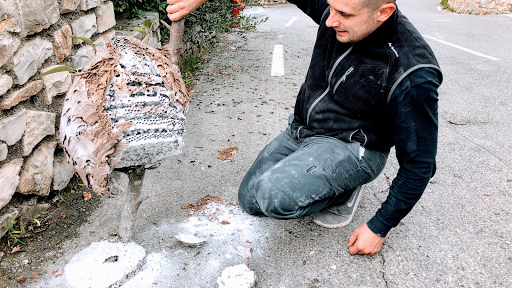 Désinfection des cafards Marseille