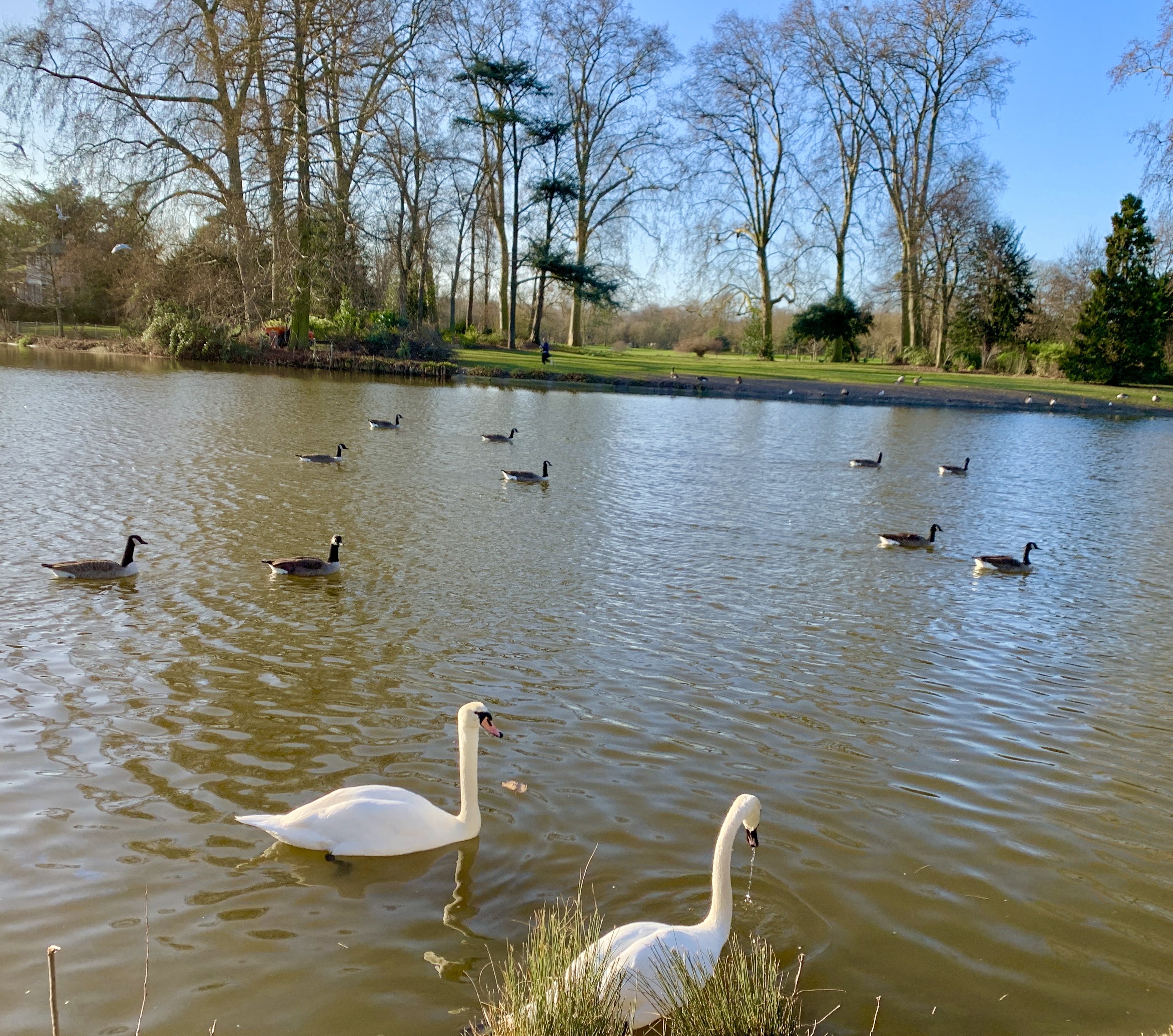 Photo n° 6 de l'avis de Agnès. fait le 10/02/2022 à 08:51