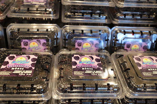 Grocery Store «Food Lion», reviews and photos, 705 Lisbon Center Dr, Woodbine, MD 21797, USA