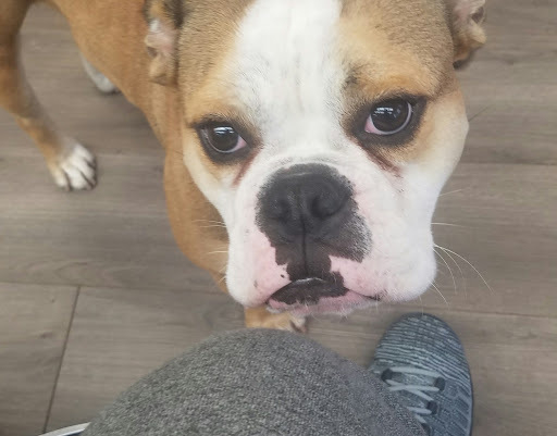 Barber Shop «KEENER KUTS BARBER SHOP», reviews and photos, 33113 Center Ridge Rd, North Ridgeville, OH 44039, USA