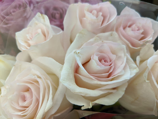 Supermarket «ALDI», reviews and photos, 10017 Belleville Rd, Van Buren Charter Township, MI 48111, USA