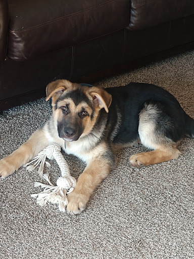 Pet Supply Store «Petco Animal Supplies», reviews and photos, 710 W 66th St, Richfield, MN 55423, USA