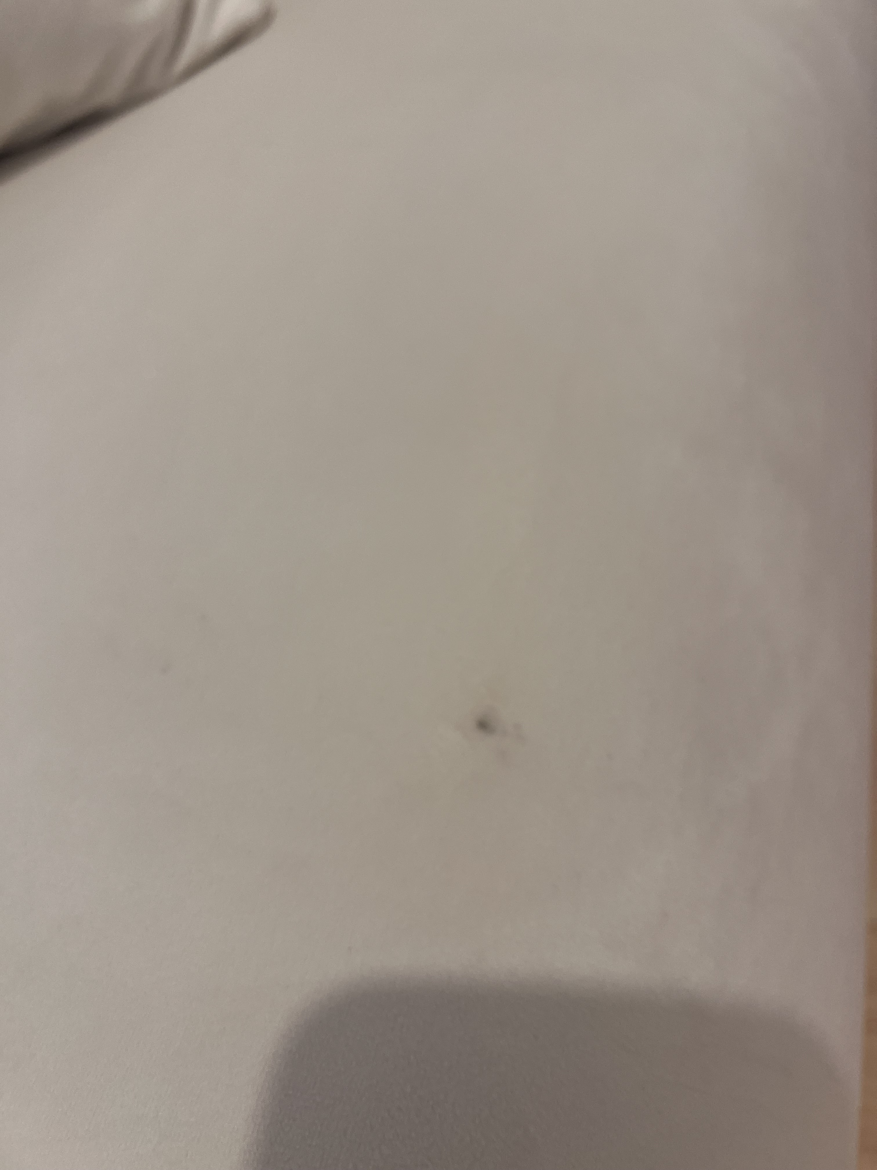 Photo n° 1 de l'avis de Ines.n fait le 13/01/2024 à 17:22