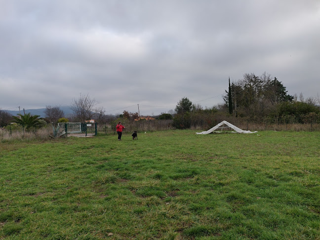 Elite Dressage - Educateur Comportementaliste Canin - Toulon