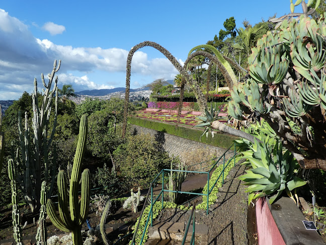 Jardim Botânico da Madeira - Funchal
