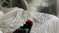 SO- Clean Sanitizing Professionals