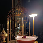 Photo n°1 de l'avis de giada.r fait le 30/12/2023 à 23:50 sur le  Grey à Manzano