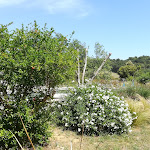 Photo n° 3 de l'avis de Jenabk2. fait le 03/06/2022 à 09:17 pour La Parenthèse chambre d'hôte gîte avec piscine à Baudinard-sur-Verdon