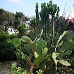 Photo n°6 de l'avis de Ivan.i fait le 30/08/2020 à 06:48 sur le  Albergo Residenziale Menhirs à San Vero Milis