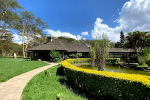 Lake Naivasha Simba Lodge image