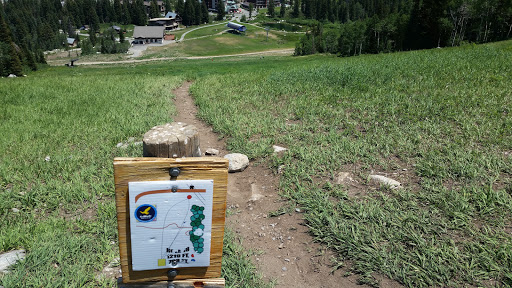 Resort «Solitude Mountain Resort», reviews and photos, 12000 Big Cottonwood Canyon Rd, Solitude, UT 84121, USA