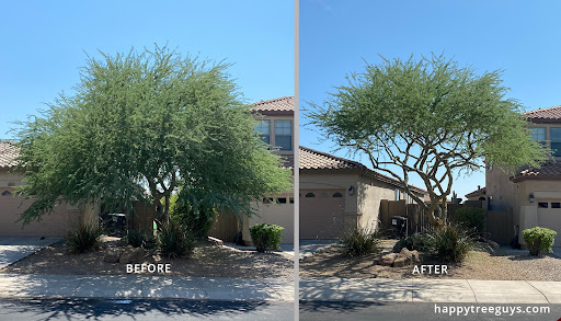 Happy Tree Guys - Trimming and Removal