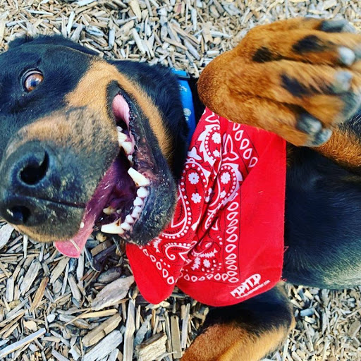 Pawn Shop «A1 Pawn», reviews and photos, 19395 N John Wayne Pkwy, Maricopa, AZ 85139, USA