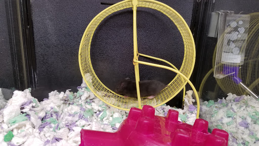 Pet Supply Store «PetSmart», reviews and photos, 2028 Miamisburg Centerville Rd, Dayton, OH 45459, USA