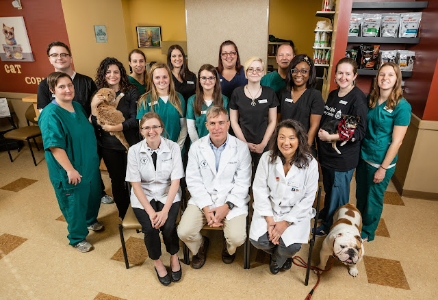 Capitol Illini Veterinary Services - Chatham